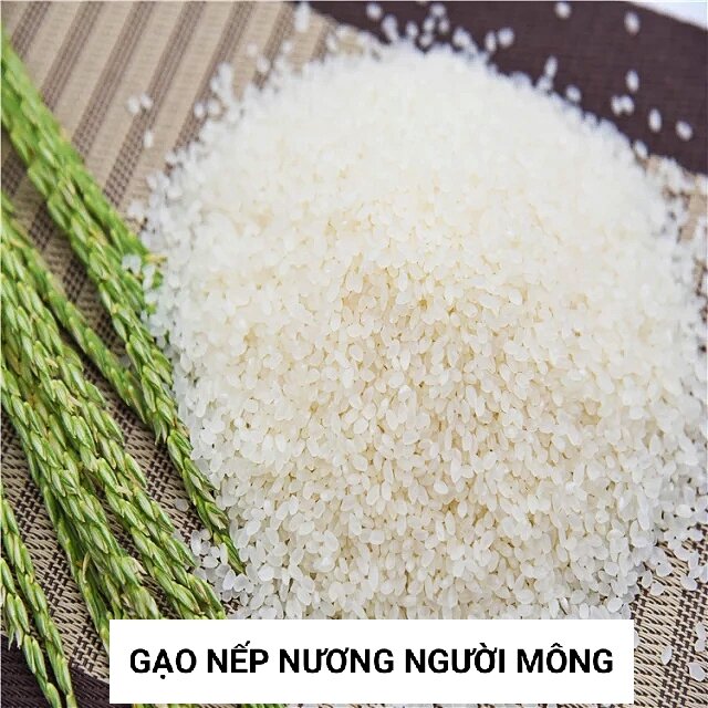 Gạo nếp nương của người Mông túi 5 kg