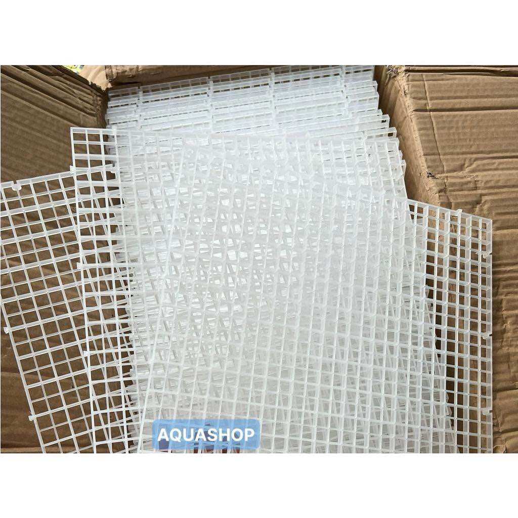 Vỉ nhựa ngăn bể cá | tấm ngăn vách | tấm ngăn bể cá cảnh