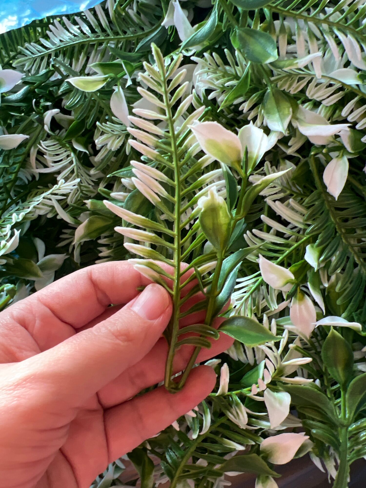 Cỏ điểm làm hoa 100g, 100g cỏ điểm