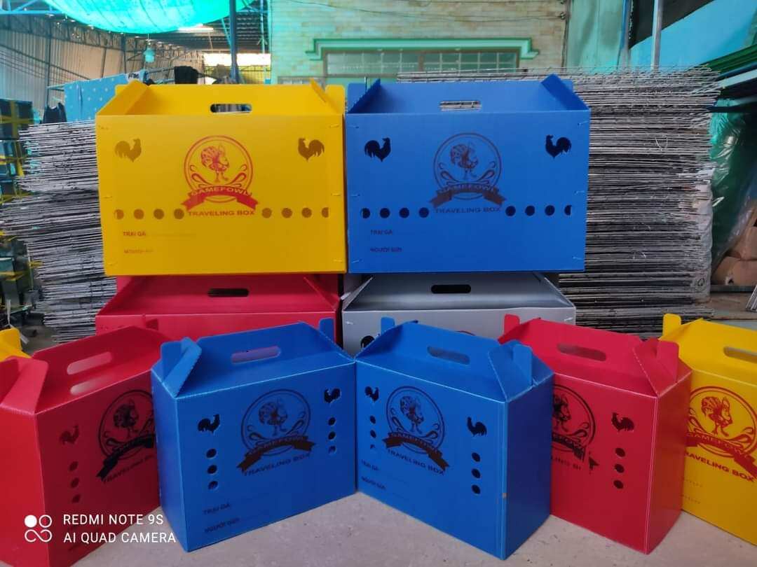 Thùng nhựa cho gà ngủ có thảm