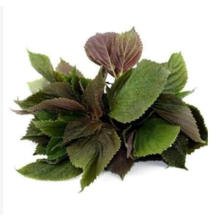 Bột tía tô sấy lạnh hộp 250g