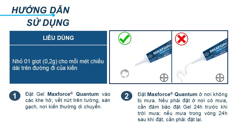 Thuốc diệt kiến Maxforce Quantum Tuýp 12g - Sp của Bayer Pháp