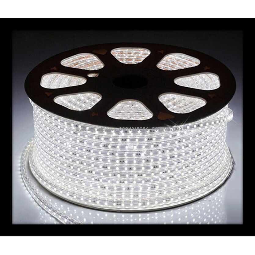 ❄️Đèn nháy cuộn 100m 2835 led đôi (tặng 1 nguồn)
