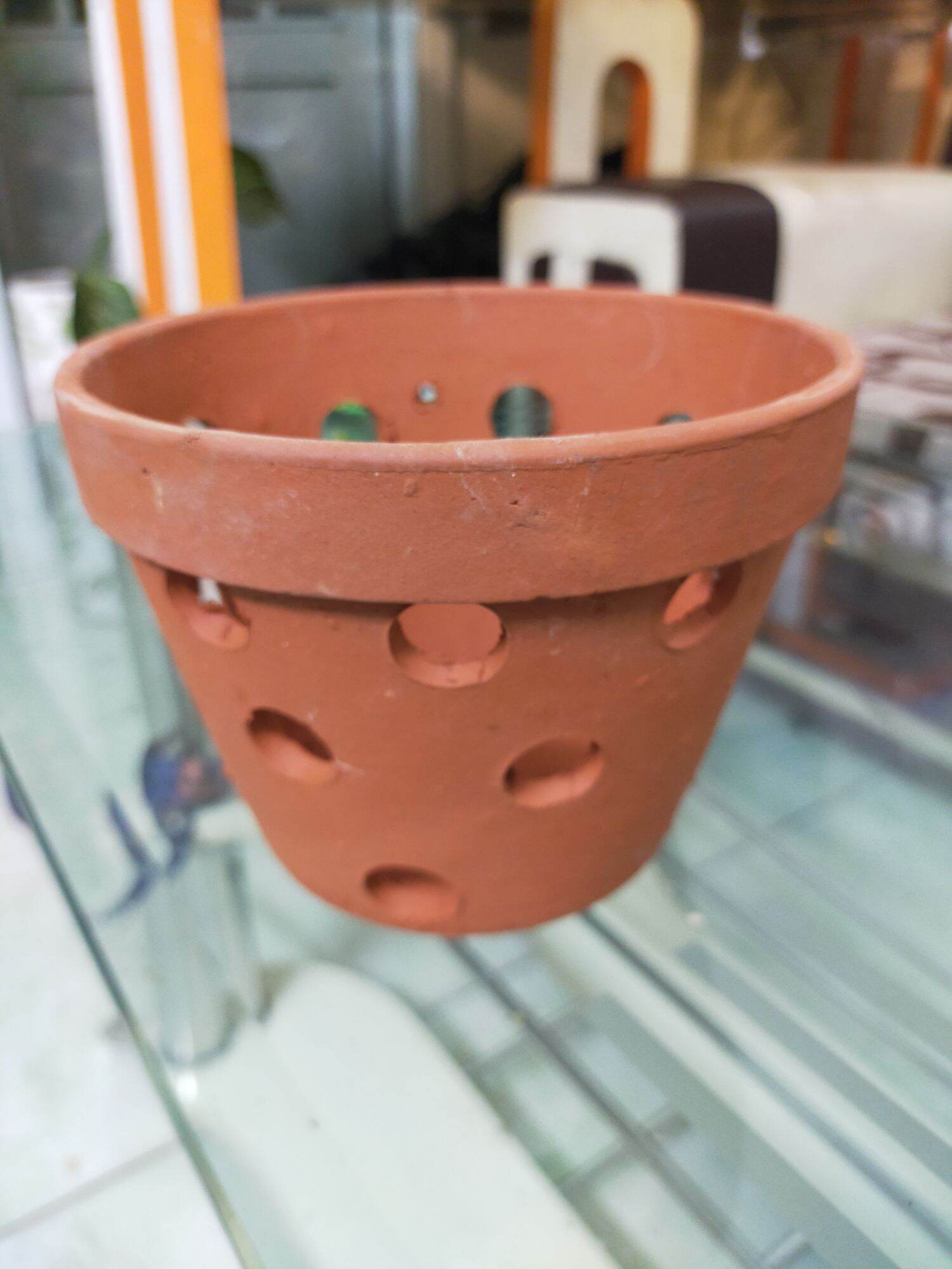Chậu đất nung trồng lẫn size vừa ( miêng rộng 14.5 cm, cao 10.5 cm)