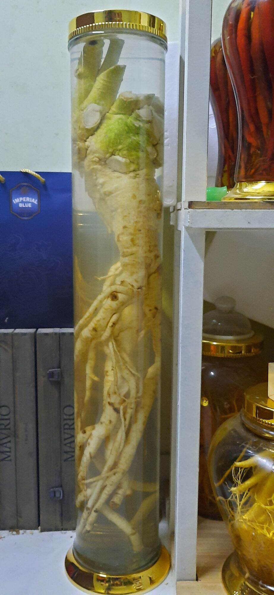 rượu đinh lăng 25lit