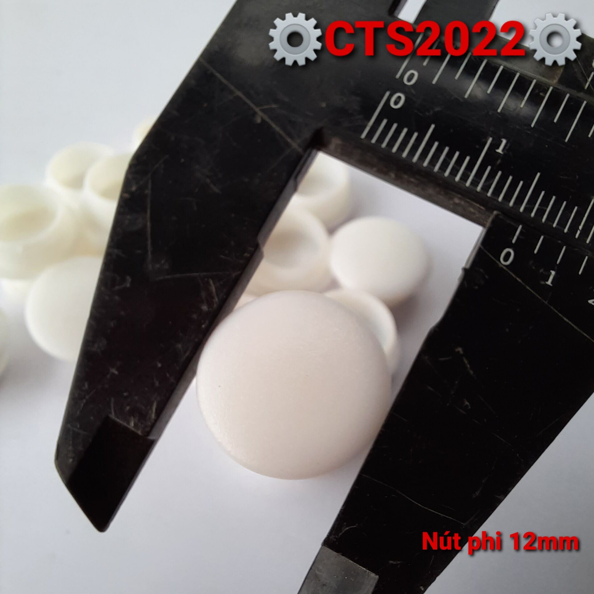 2 Nút nhựa bịt lỗ phi 12mm màu trắng