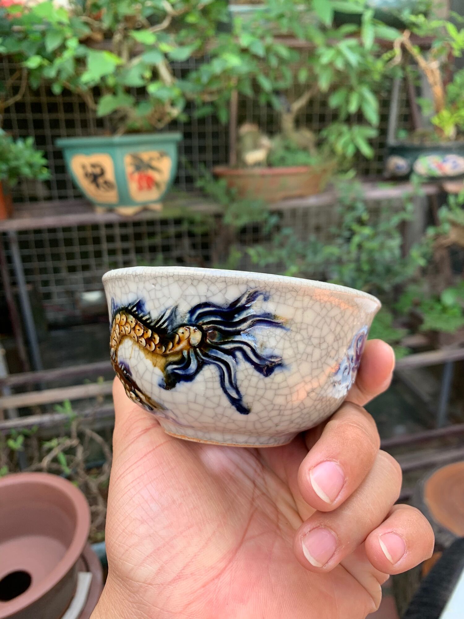 Chậu trồng cây bonsai mini