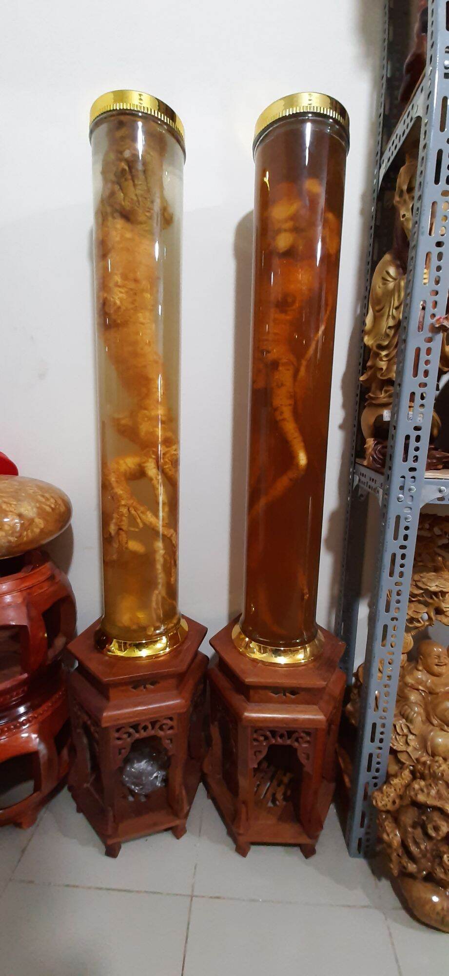 rượu đinh lăng 25lit