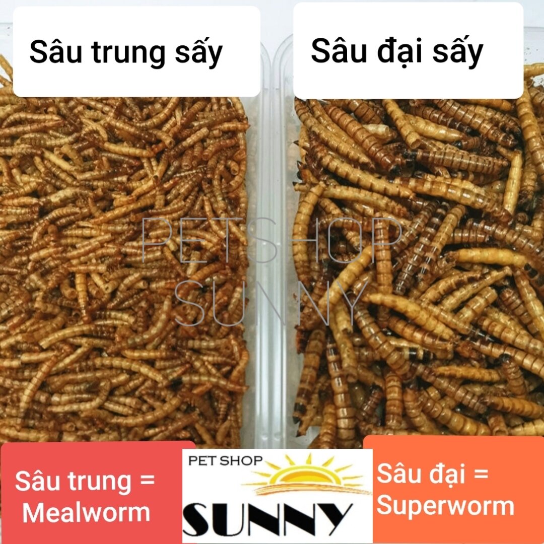 Sâu size đại superworm sấy gói 25g