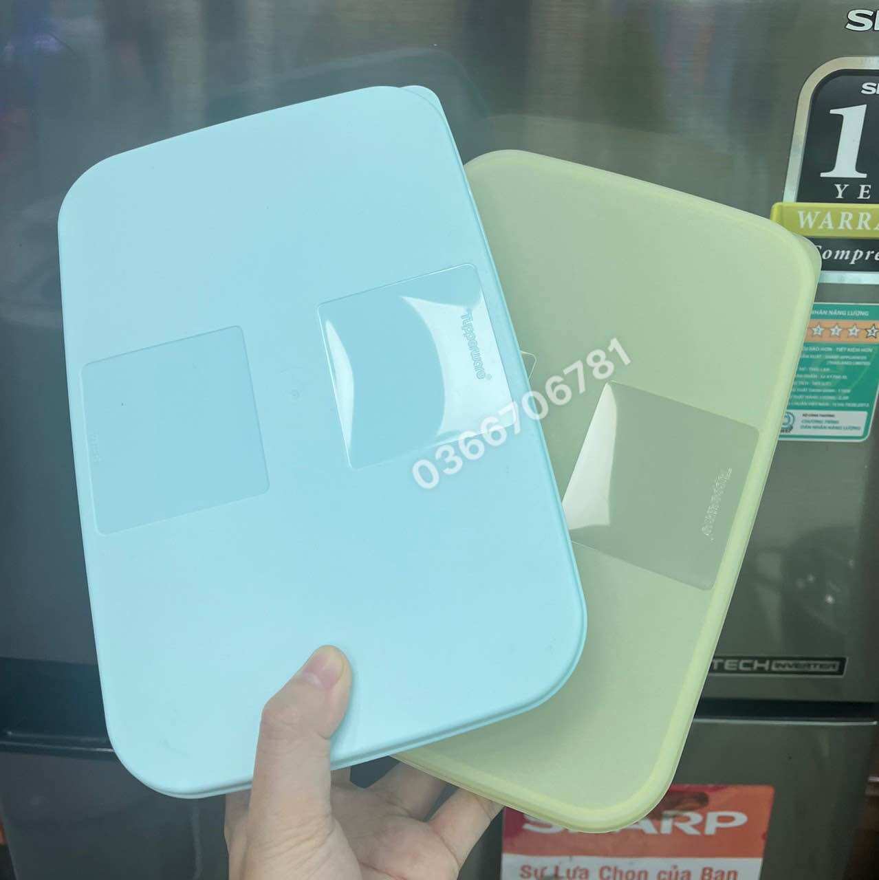 Set 2 hộp đông dẹp 650ml (nắp màu ngẫu nhiên)