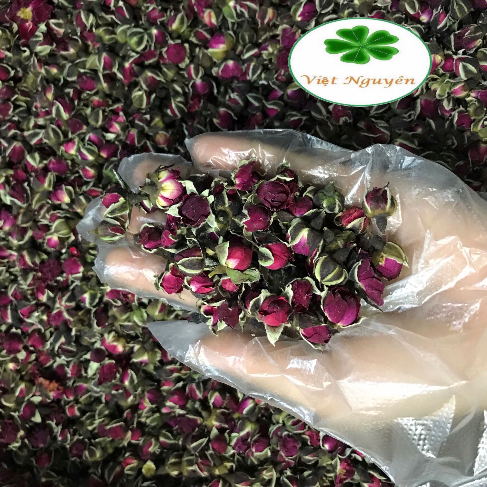 nụ hồng đà lạt túi 100g-300g
