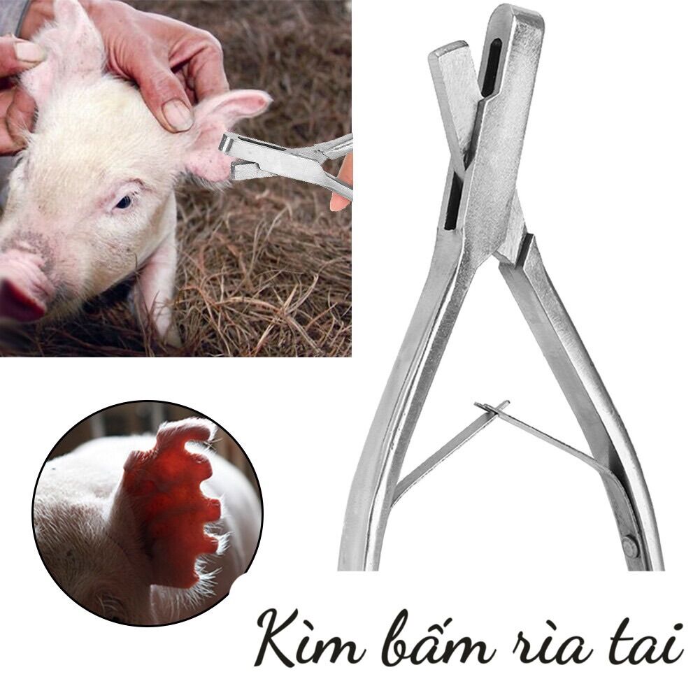 [THÚ Y] 1 chiếc kìm bấm rìa tai chữ V cho heo trâu bò