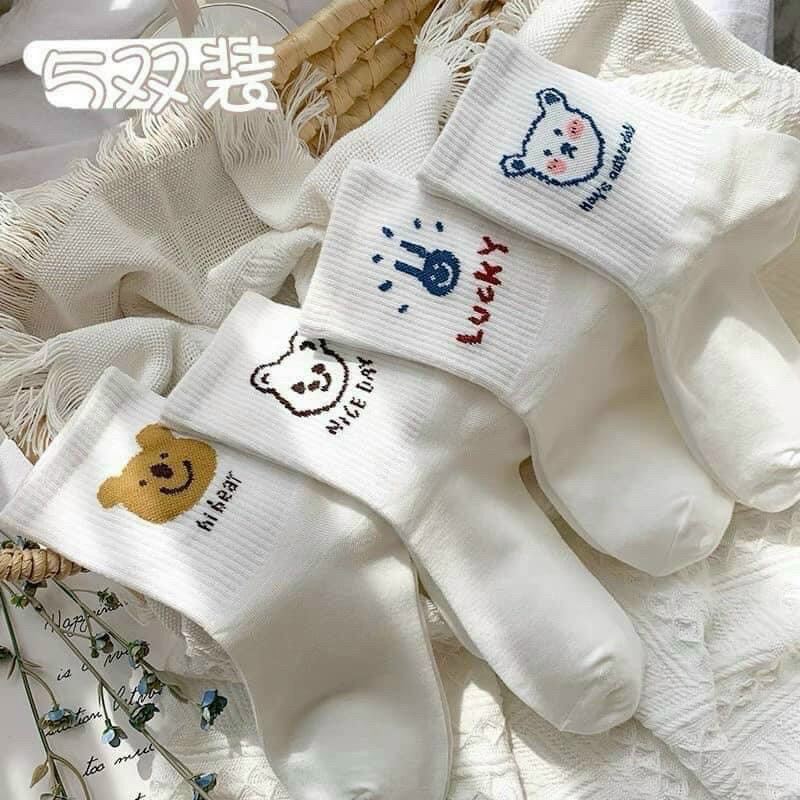 Vớ nữ cổ cao set 5 đôi tất họa tiết gấu Trắng cute dễ thương phong cách Hàn Quốc - Combo 5 đôi vớ trắng gấu nâu vintage