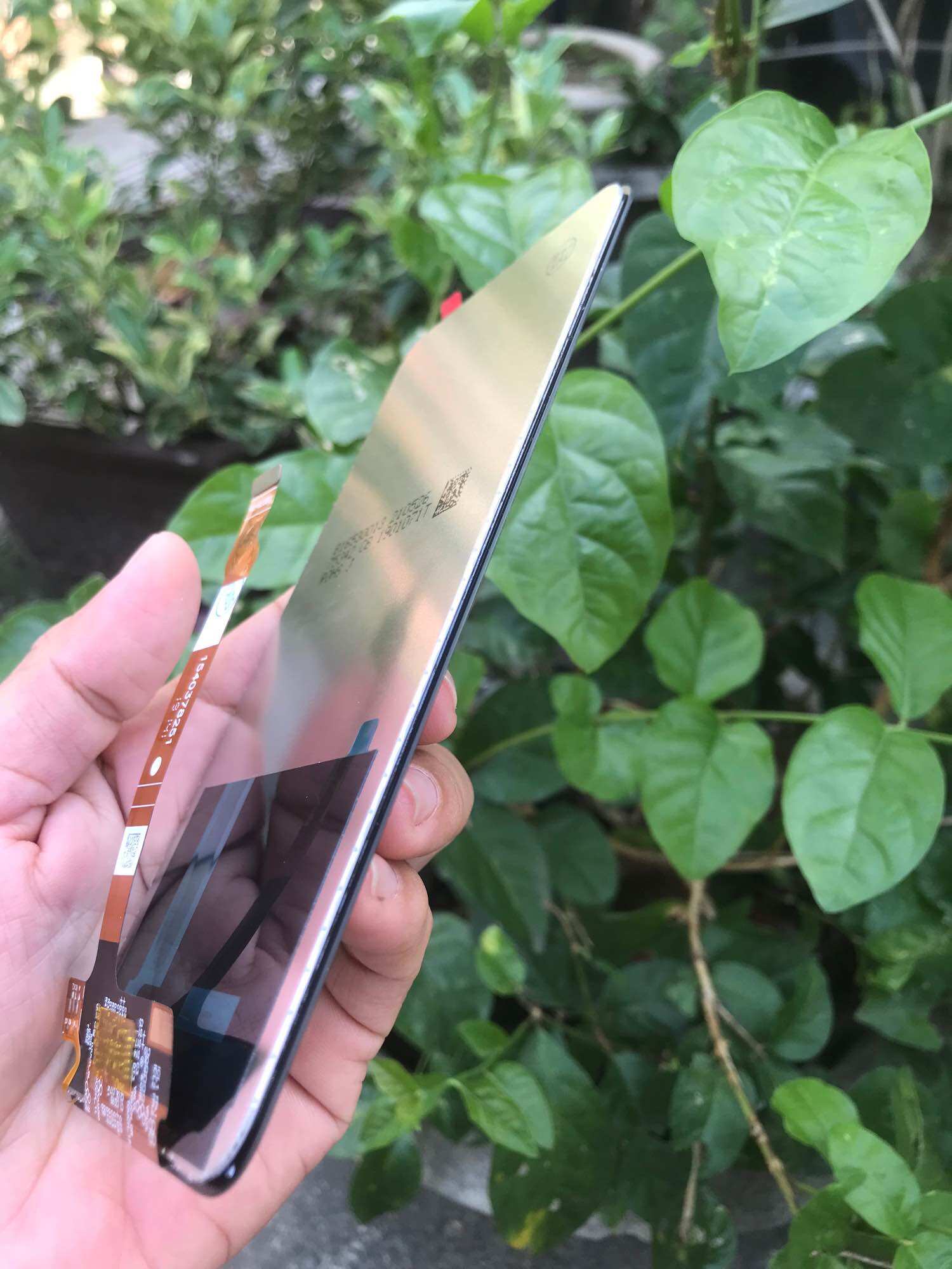 Màn hình Oppo F11 pro zin new