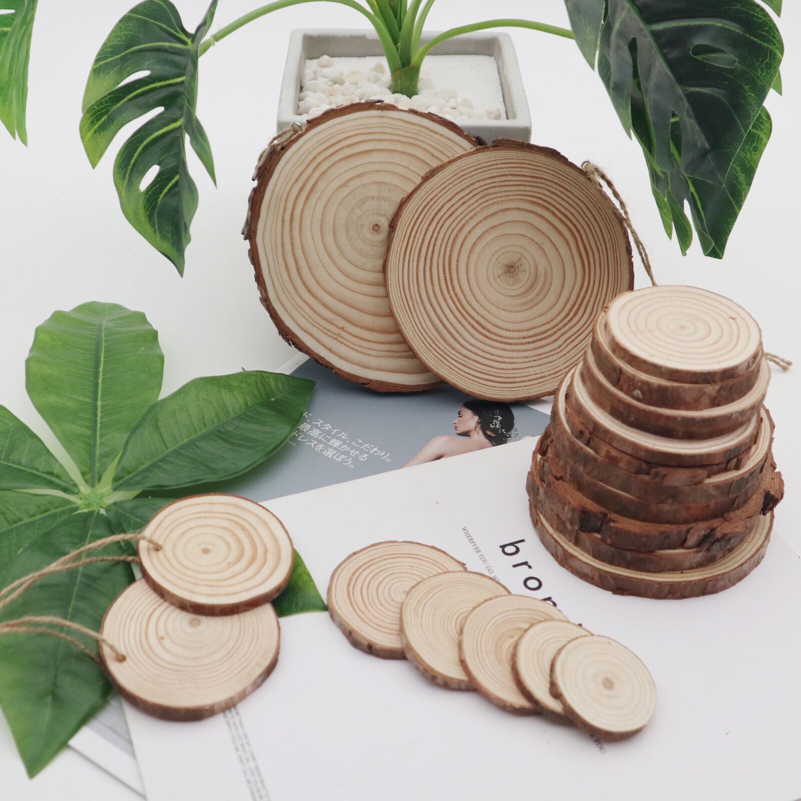 Lát gỗ thông dùng trang trí decor phòng