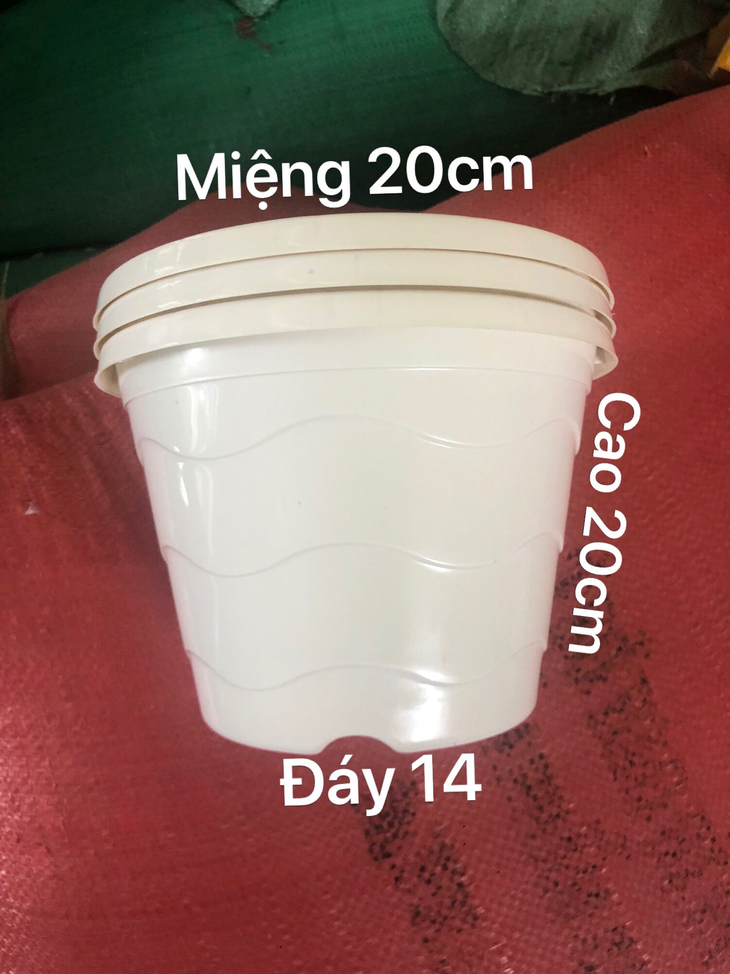 Chậu treo sóng biển 10 cái kèm dây màu trắng