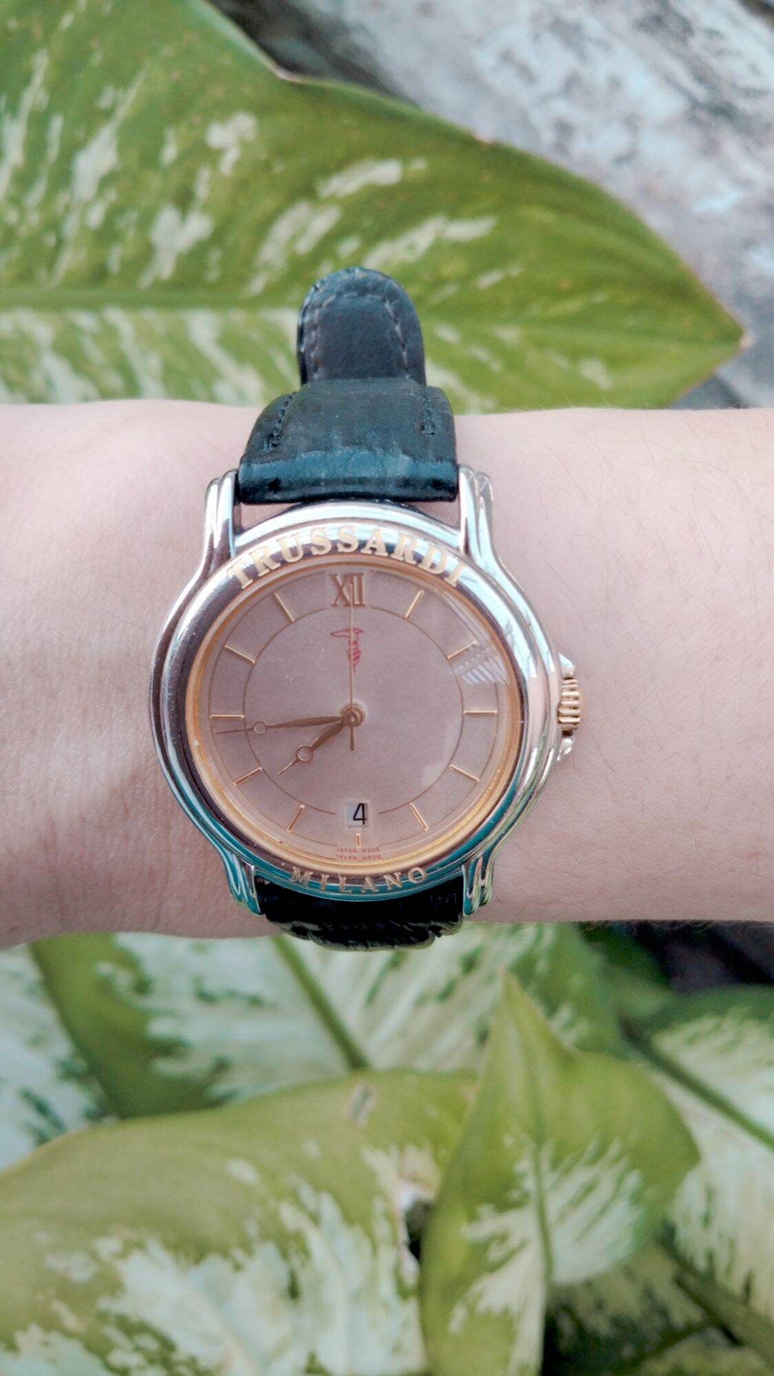 1 đồng hồ Nữ thương hiệu Trussardi máy Nhật.Size mặt 31,5-33