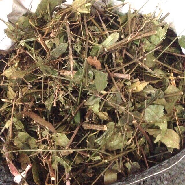 1kg Chè vằng khô
