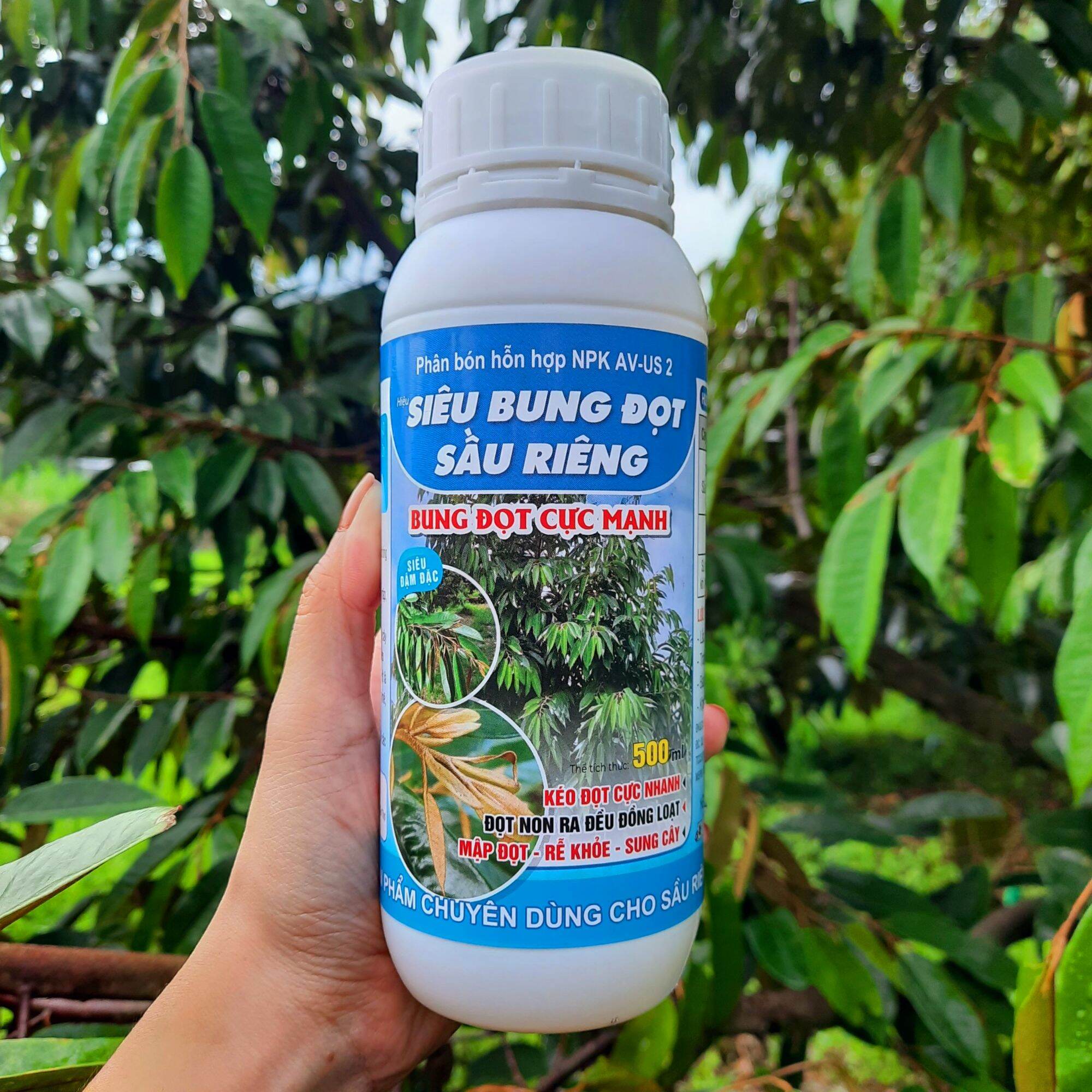 Phân bón siêu vọt đọt chuyên sầu riêng giúp cây kéo đọt nhanh, đọt non ra đồng đều, mập đọt, rễ khỏe, sung cây