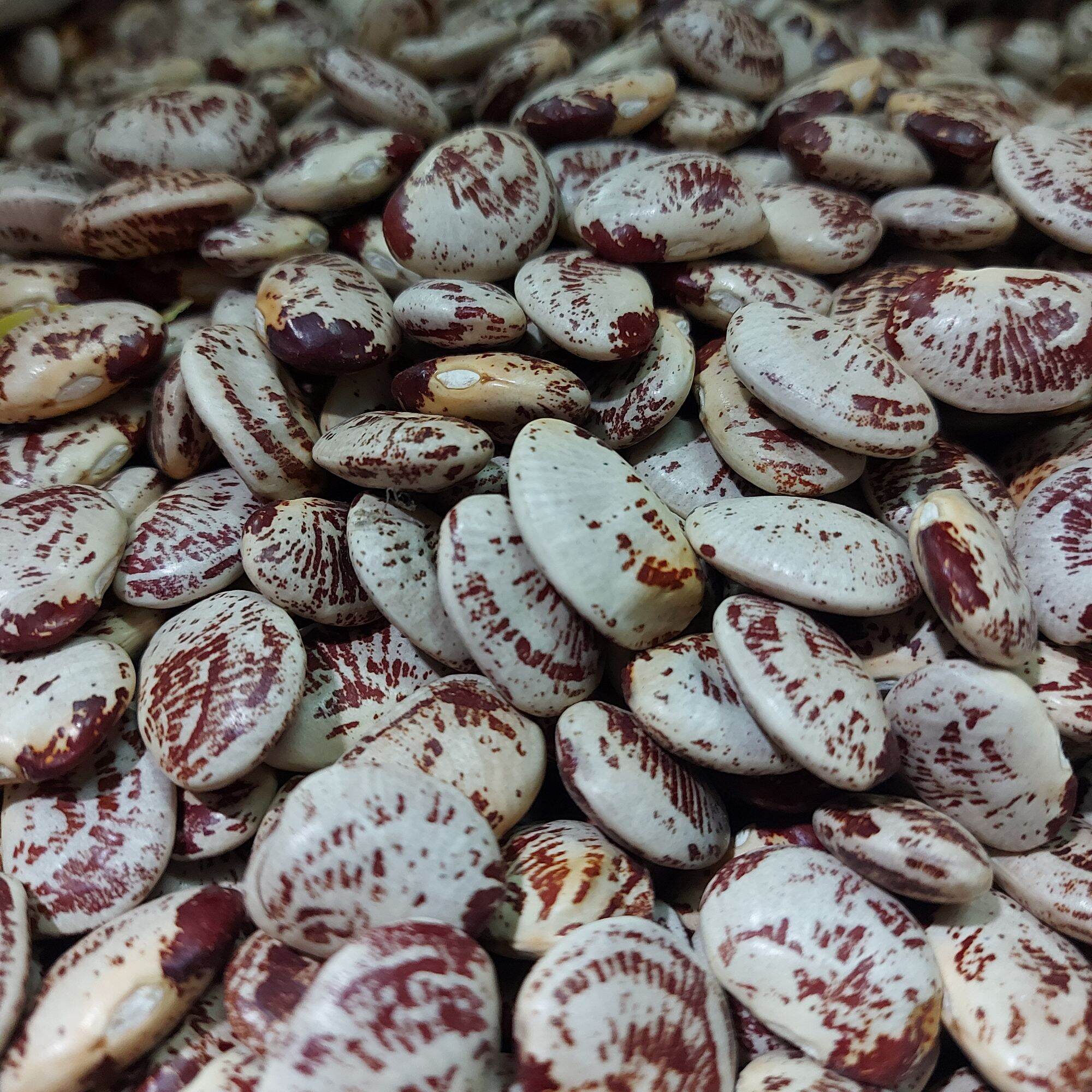 1kg đậu ngự - đậu ngự nấu chè -loại đẹp