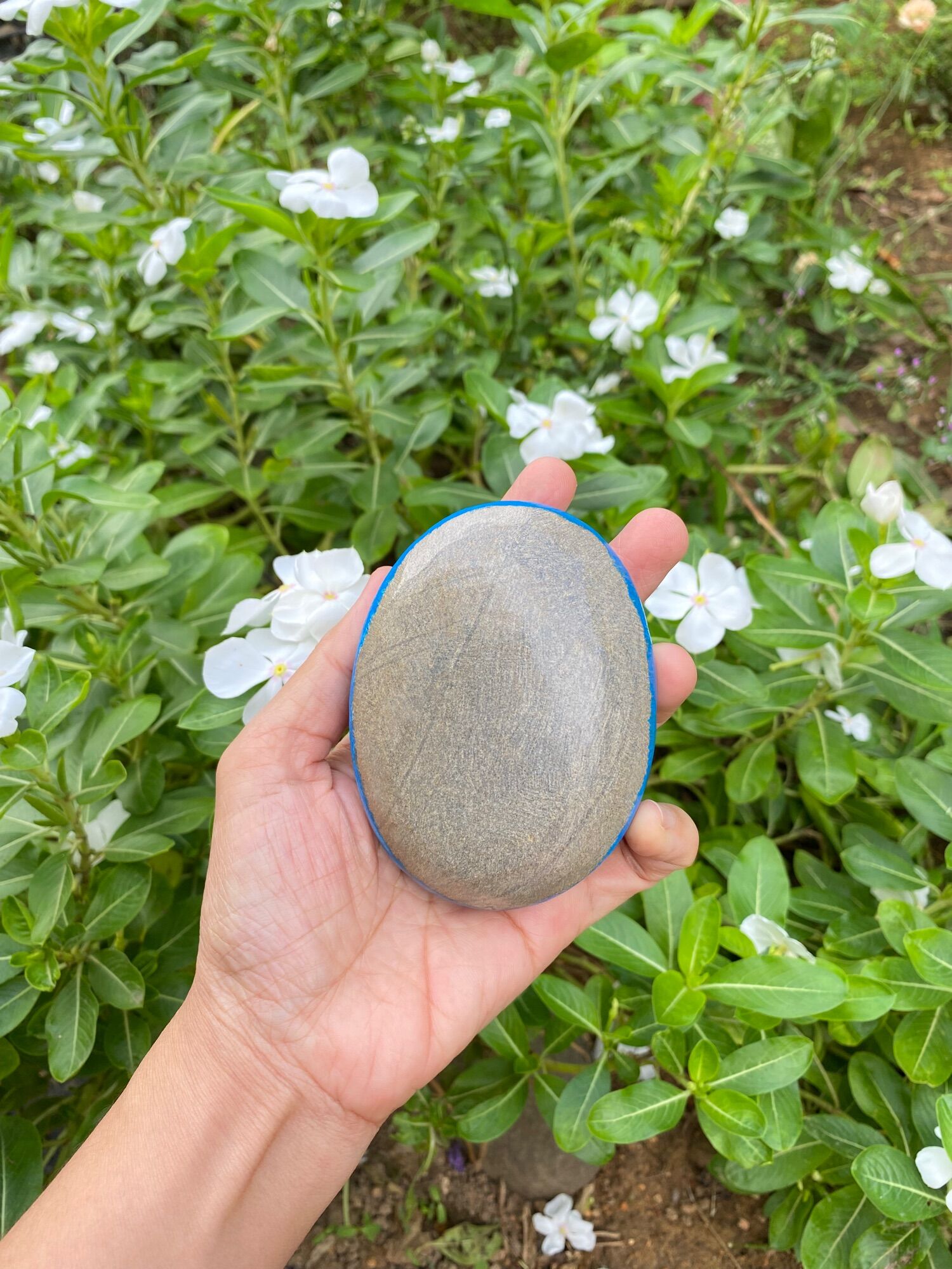 Hòn đá biết ơn mẫu hoa hồng