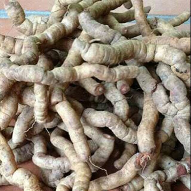 1kg ba kích tím tươi