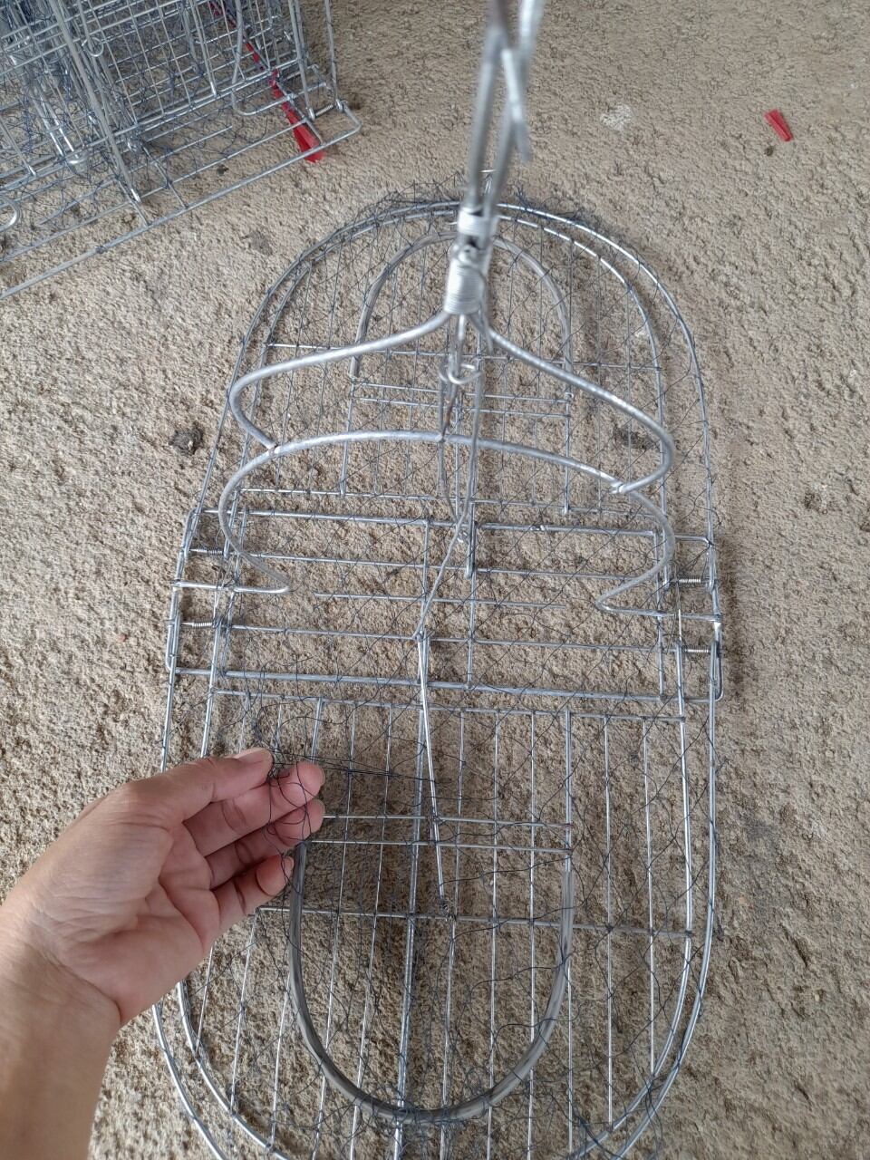 Mẹt bẫy cho chòe than và chòe lửa