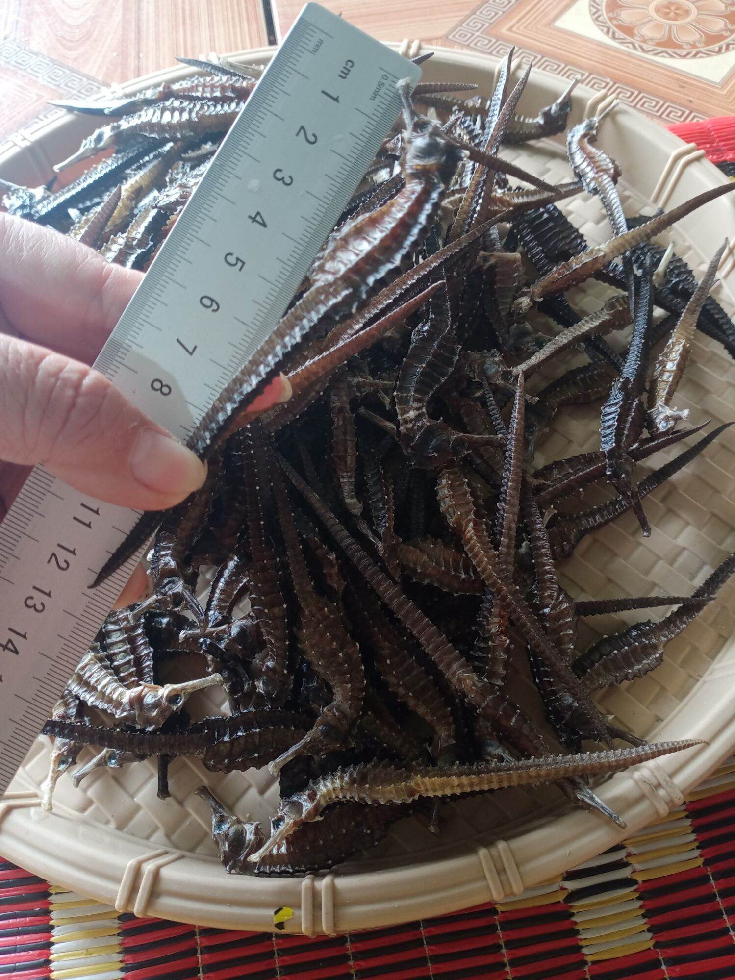 2 con cá ngựa khô dài 12cm