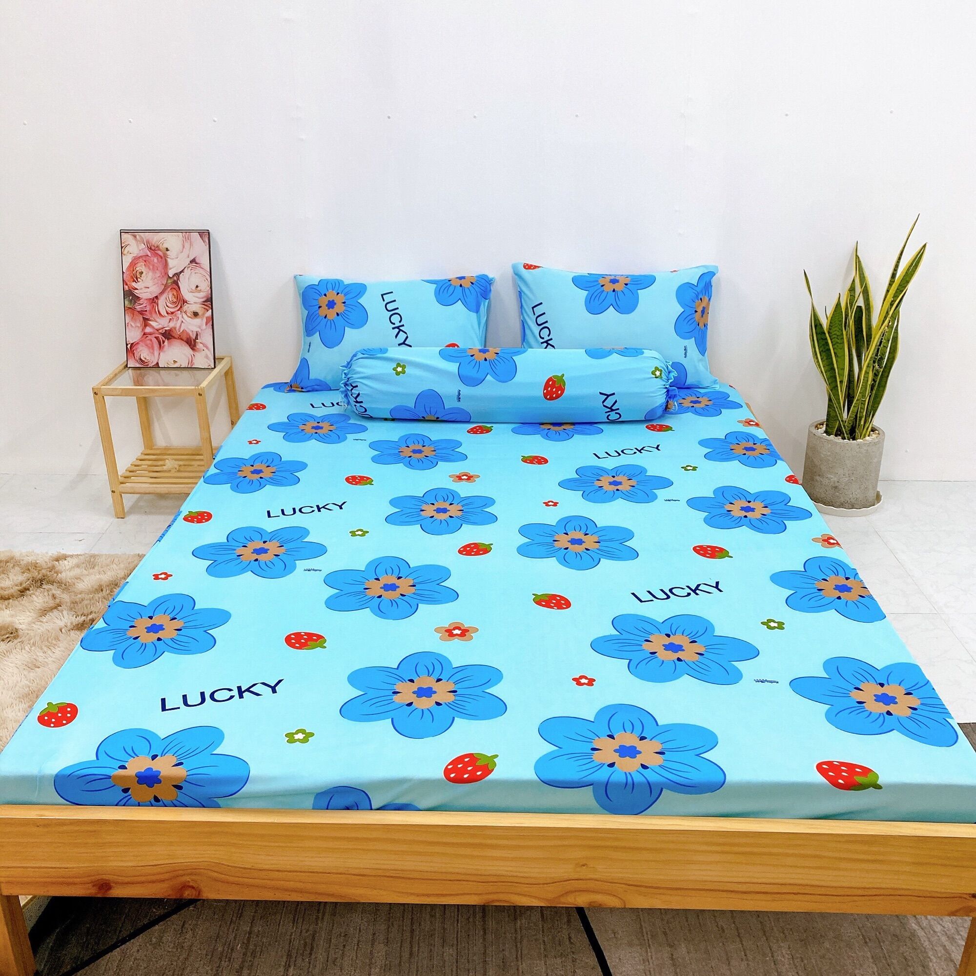Set 4 món DRAP ÁO GỐI THUN LẠNH HÀN QUỐC