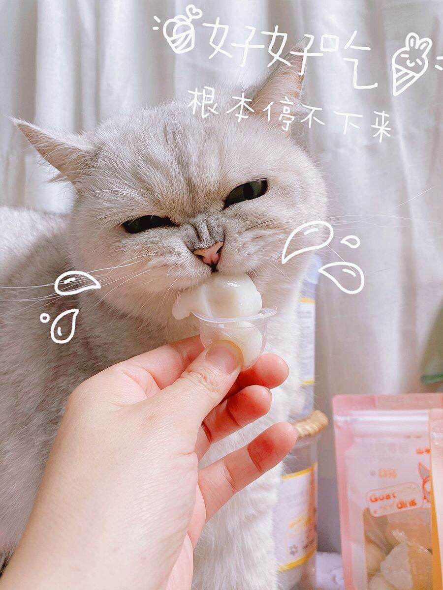 Pudding Sữa Dê Cho Mèo