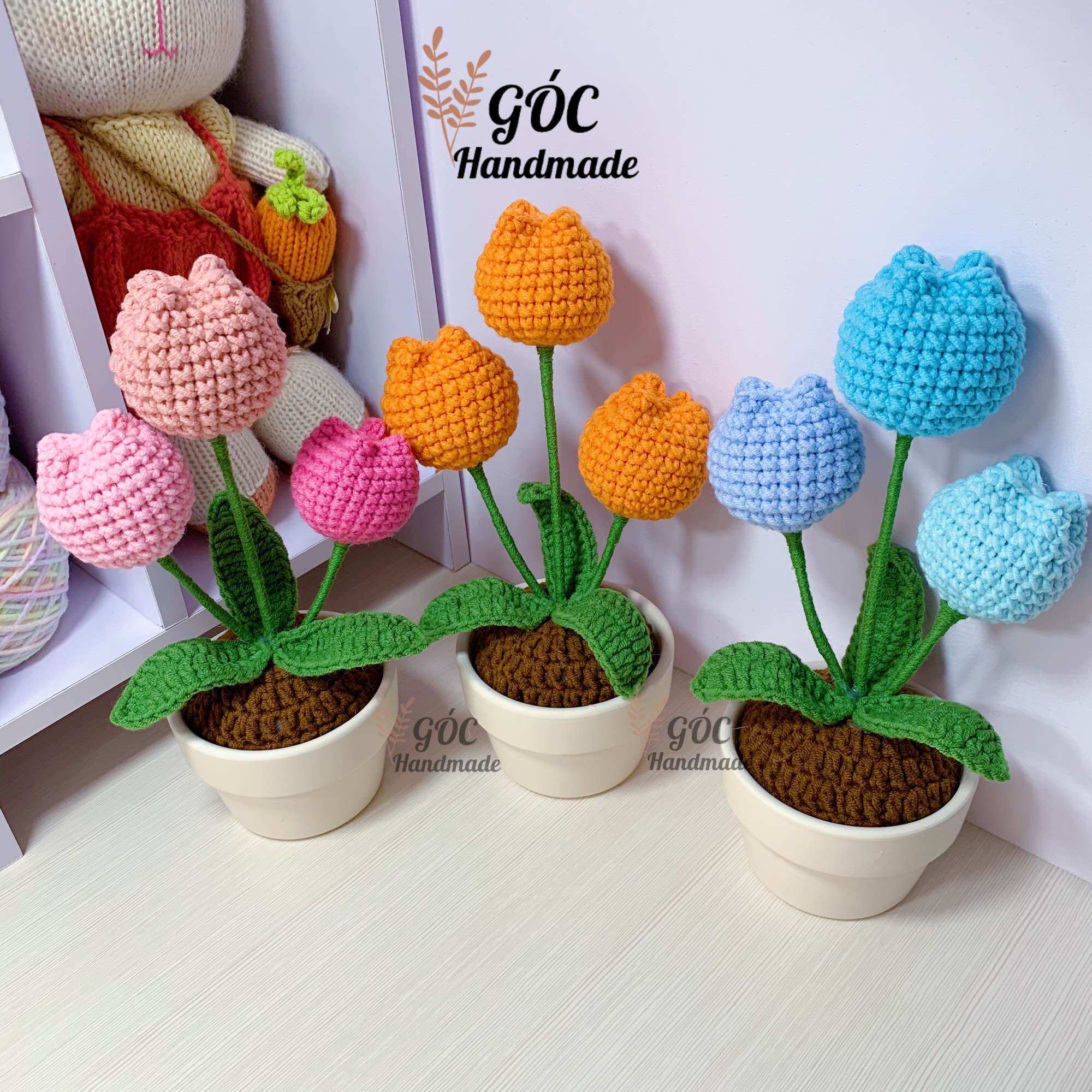 Chậu 3 bông : Tulip, hướng dương, cúc xuyến chi