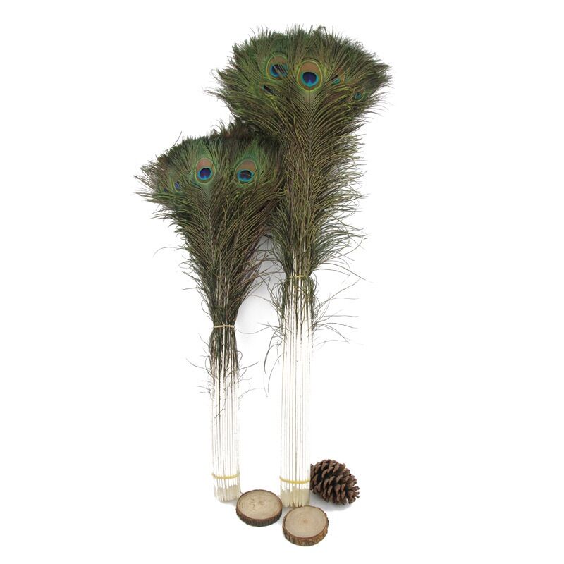 Sỉ 5 cọng lông công phong thuỷ dài 25-100 cm