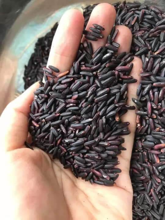 Gạo lứt đen - 1kg