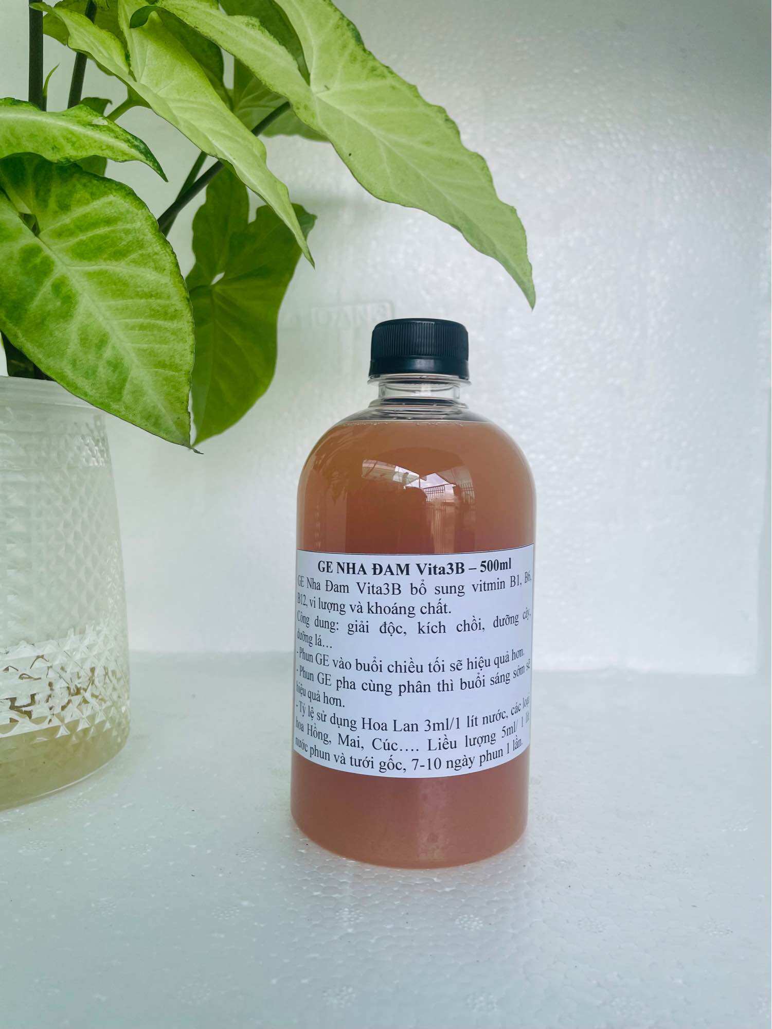 Ge Nha Đam Vita 3B Giải Độc Cho Lan 500ml Abclam