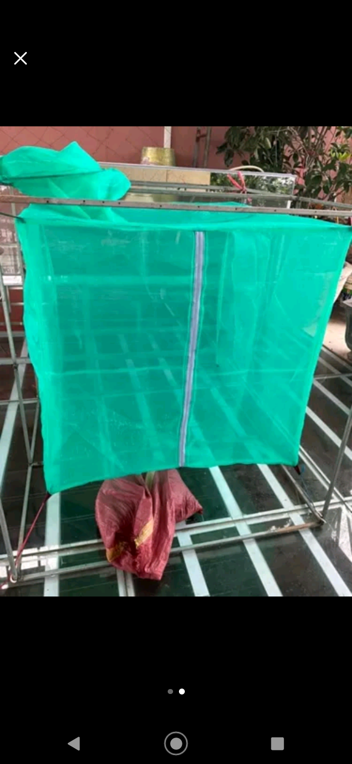 Mùng nuôi ruồi lính đen loại nhỏ 1x1x1, 2x2x2m