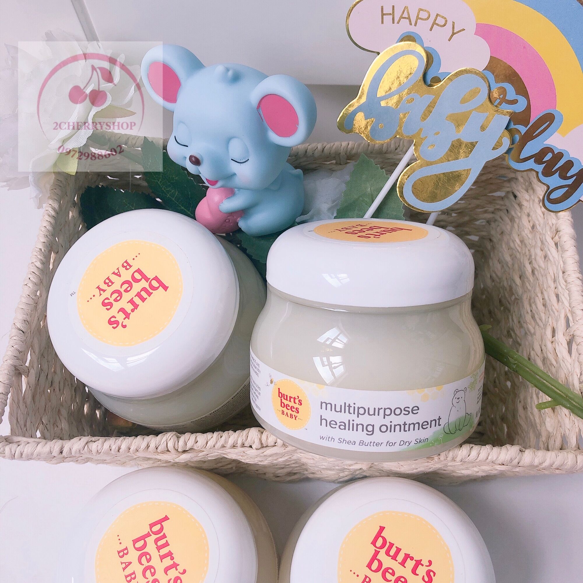 Kem dưỡng đa năng Burt’s Bees Baby Multipurpose Ointment