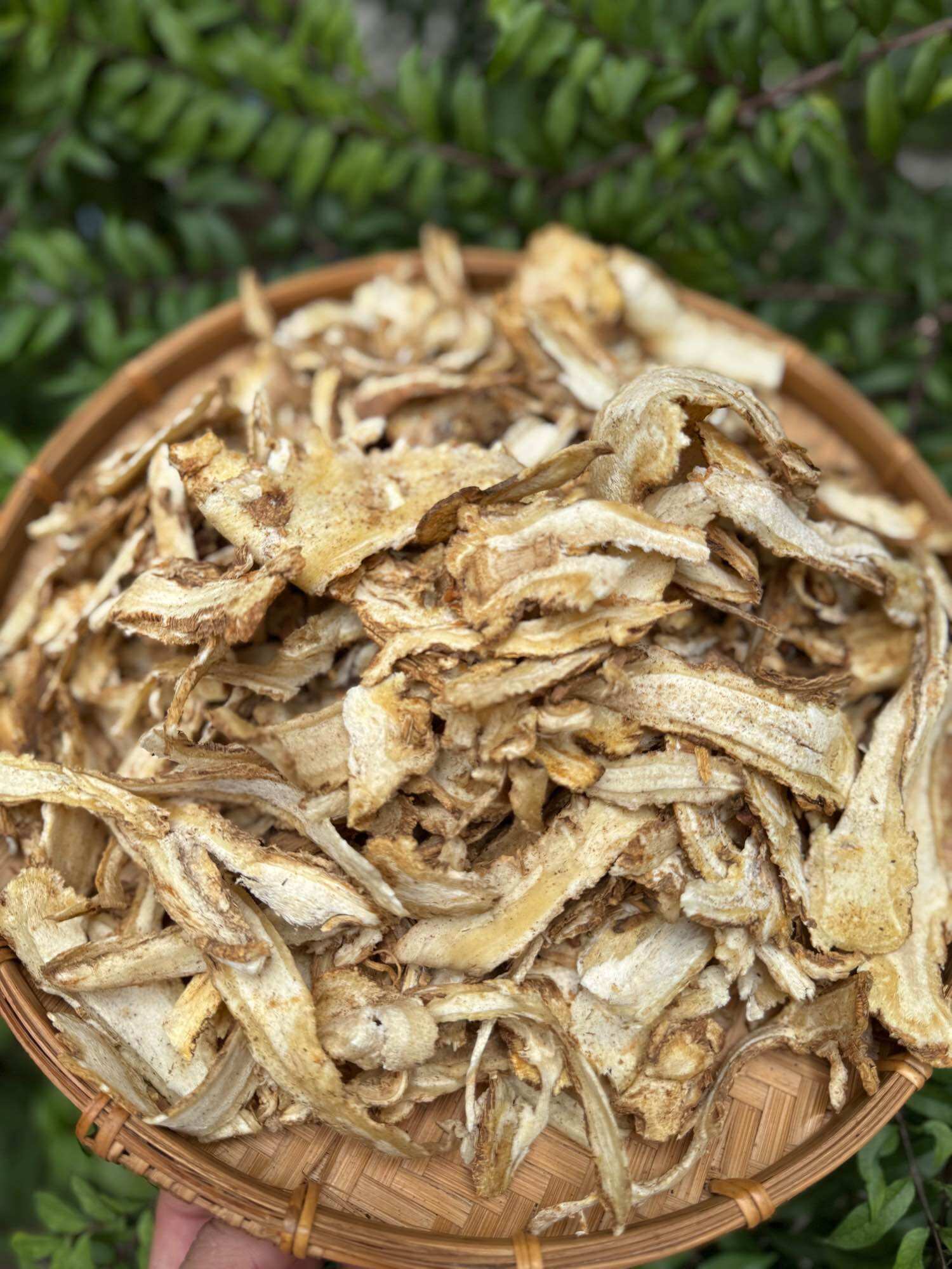 [HCM]Đương quy hàng khô thái lát 1kg