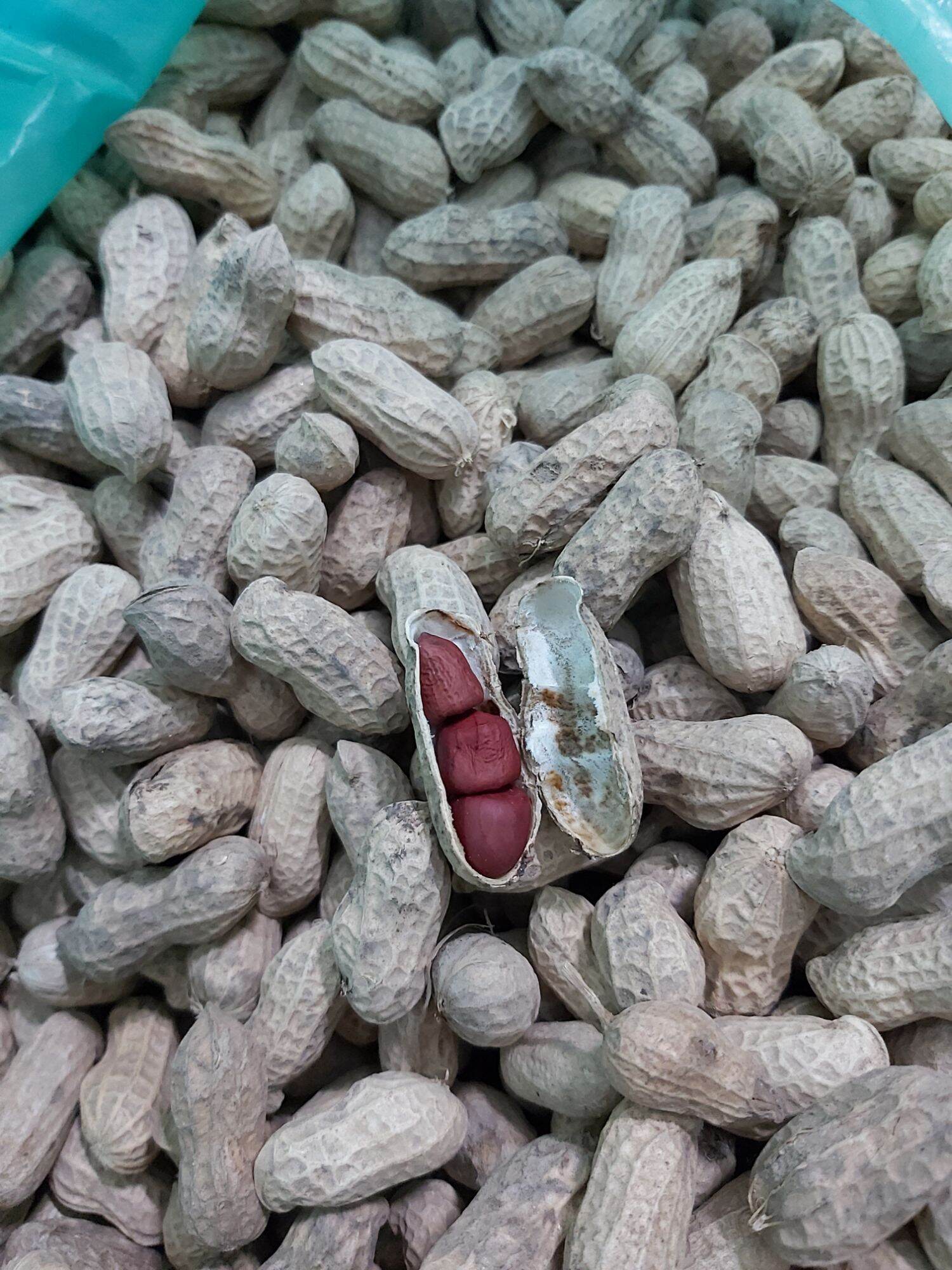 lạc (đậu phộng) đỏ Nghệ An 1kg