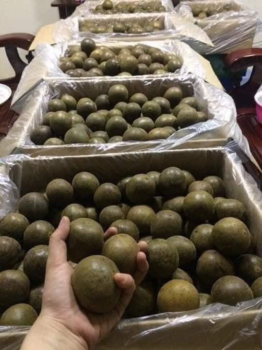 La hán quả khô - 200gr(10 đến 12 trái)