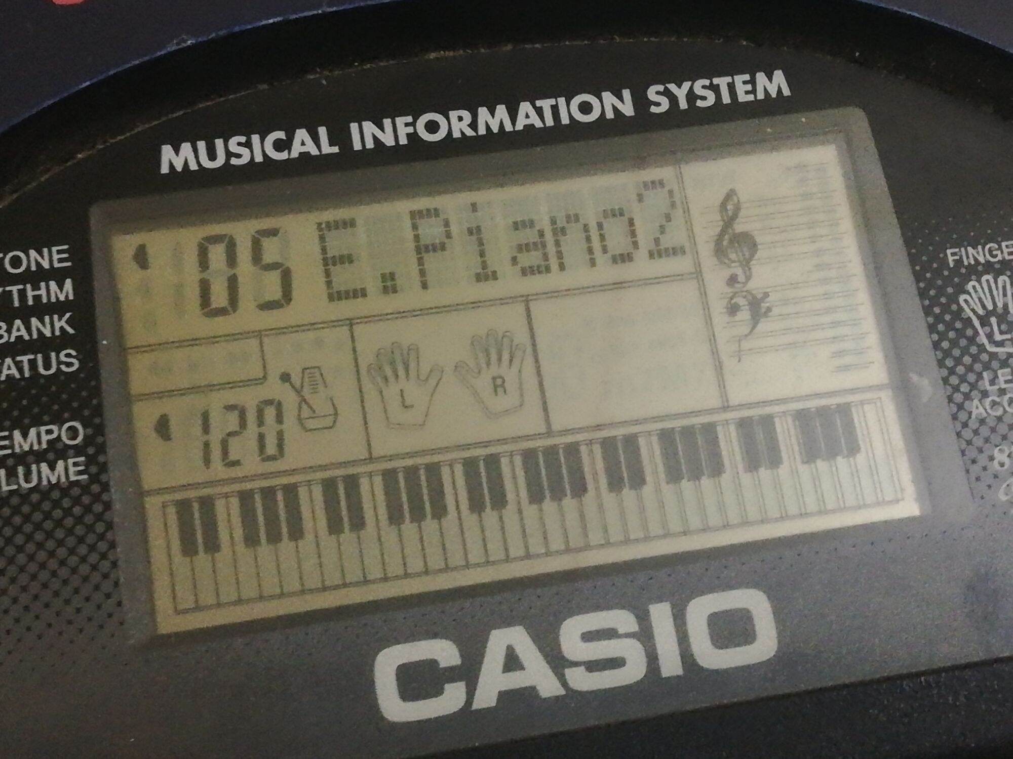 Đàn organ Casio CTK-495A