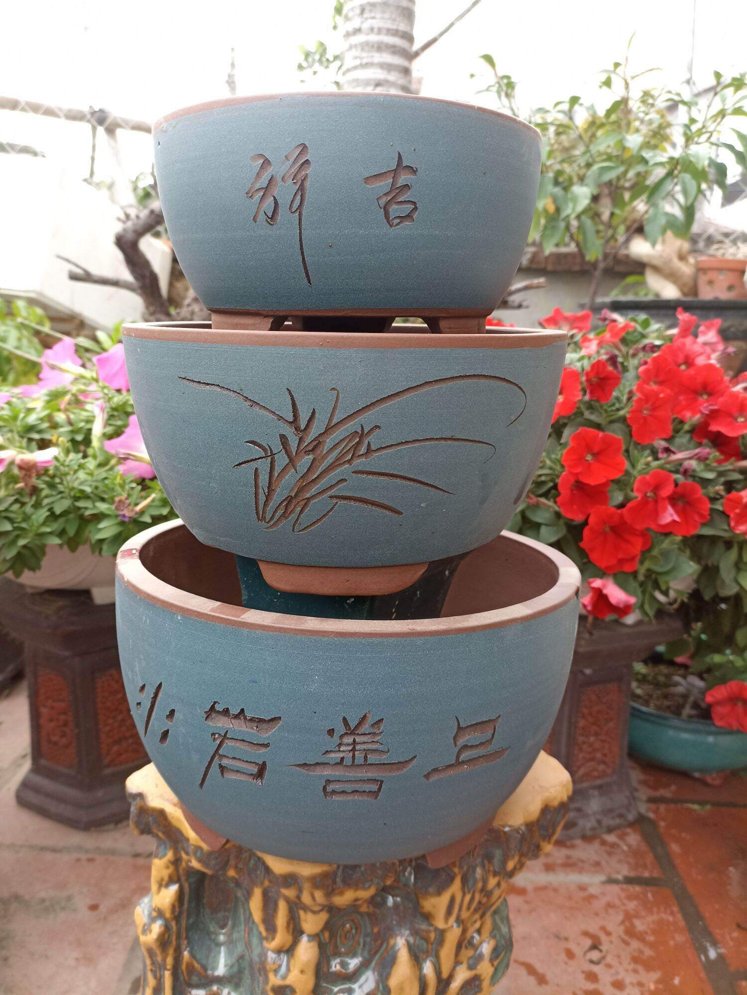 Bộ 3 chậu Tàu bonsai