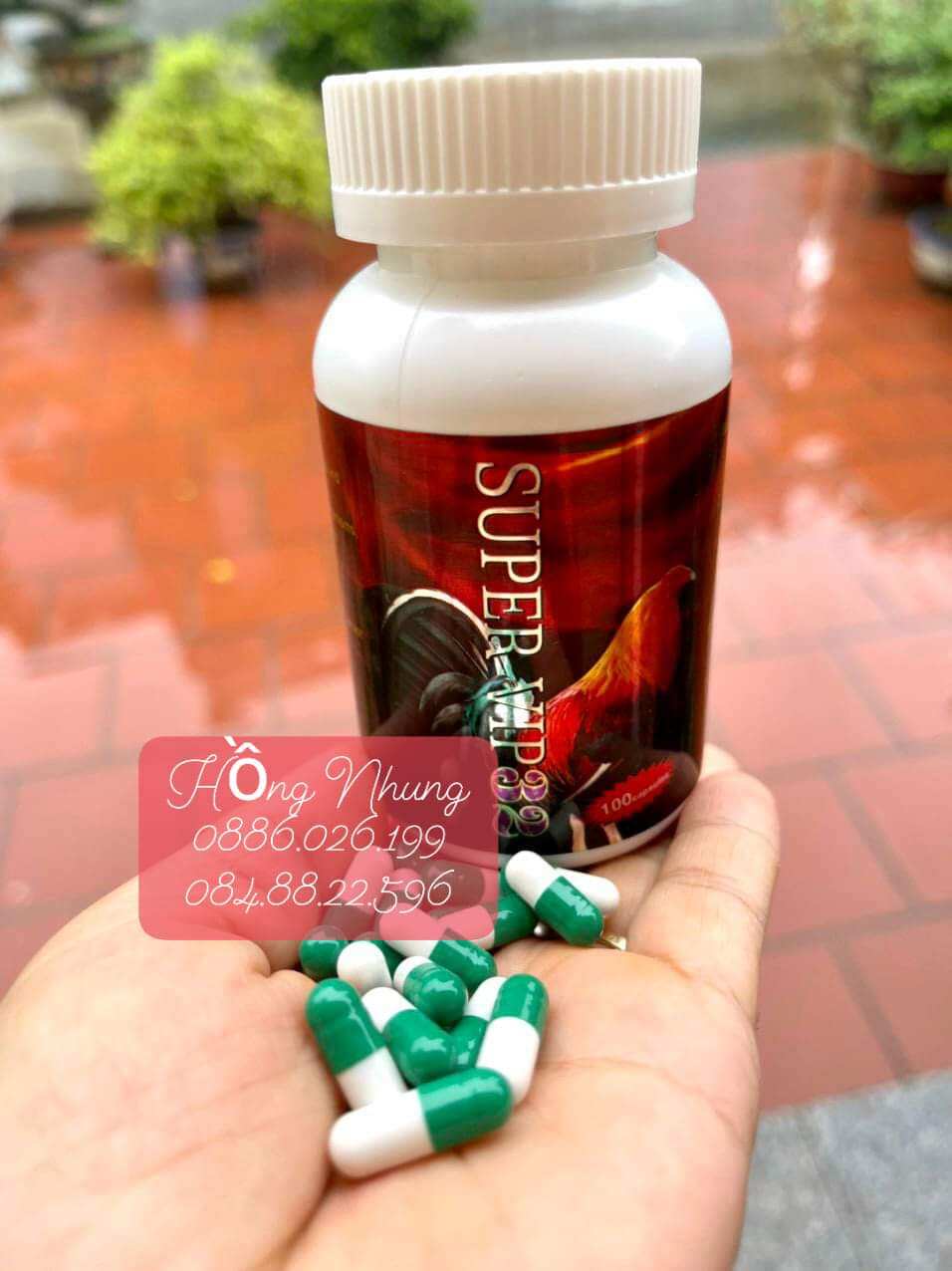Super vip32_ hũ 100v: nuôi tăng bo, tăng nước máu, săn chắc cơ cho gà đá