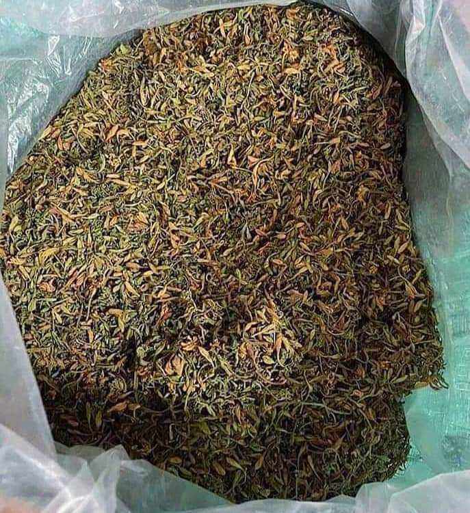 Hoa đu đủ đực khô 1kg