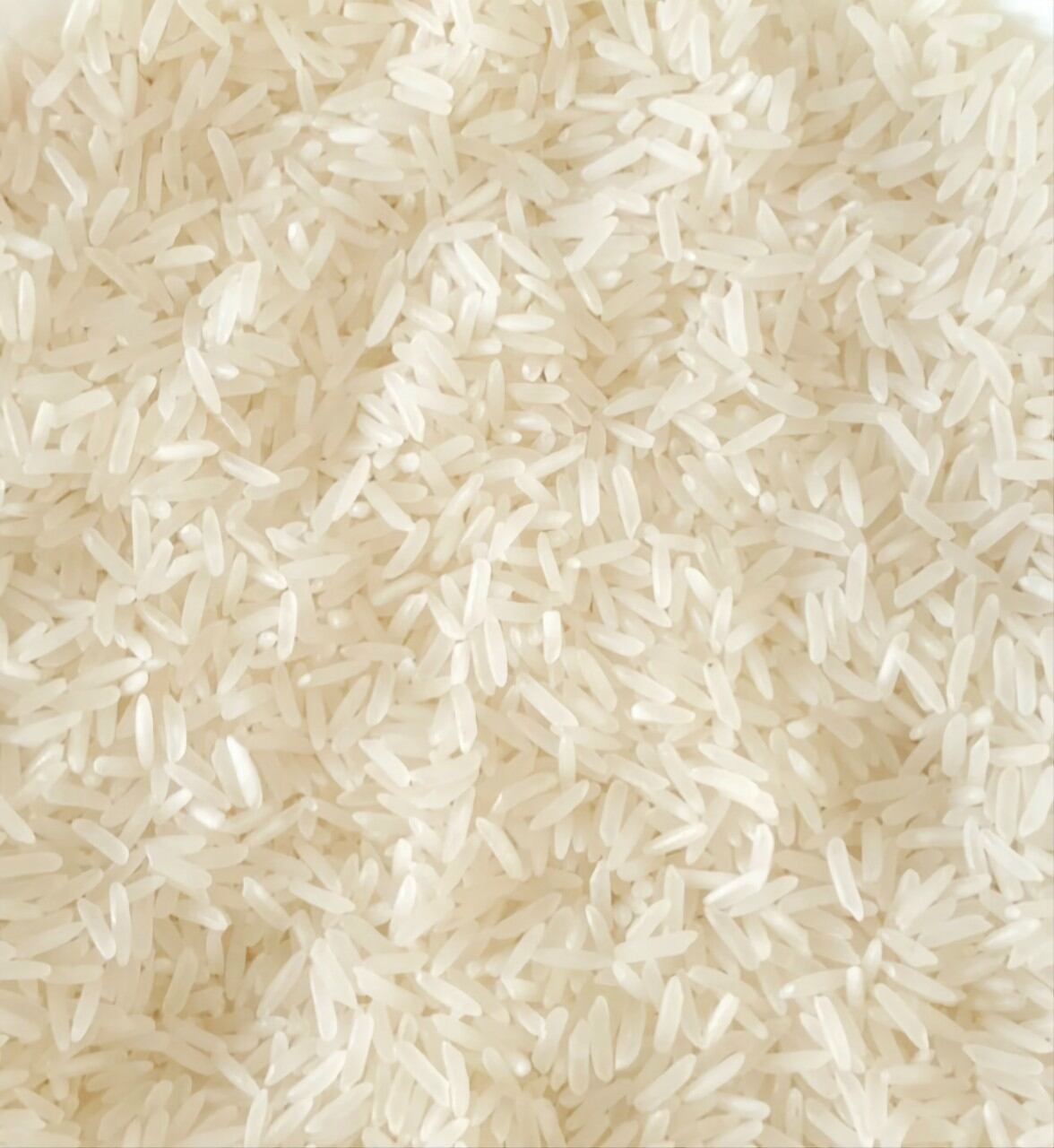 Gạo ST25 Lúa Tôm Hương Phù Sa 5kg