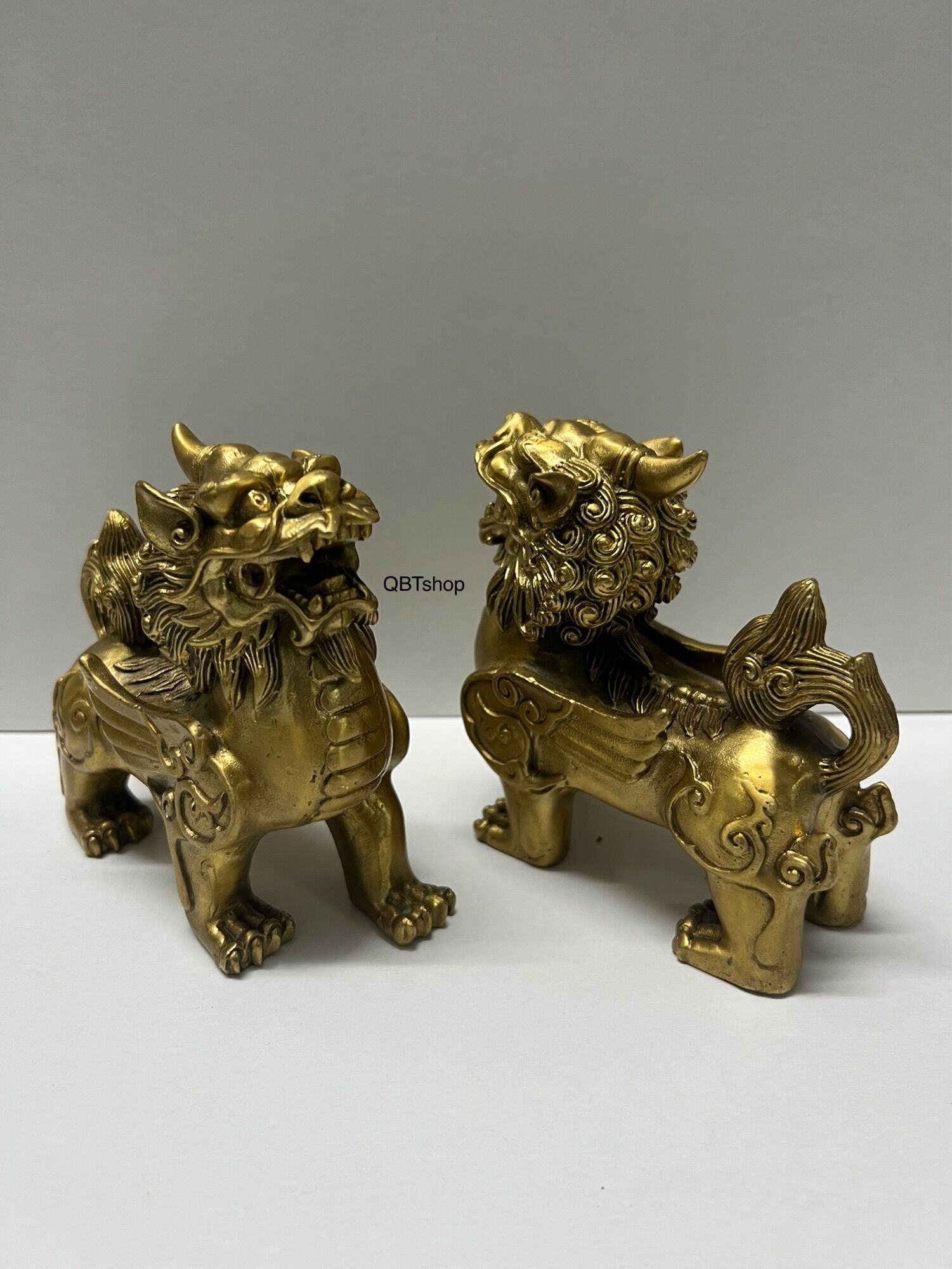 Cặp tỳ hưu đồng