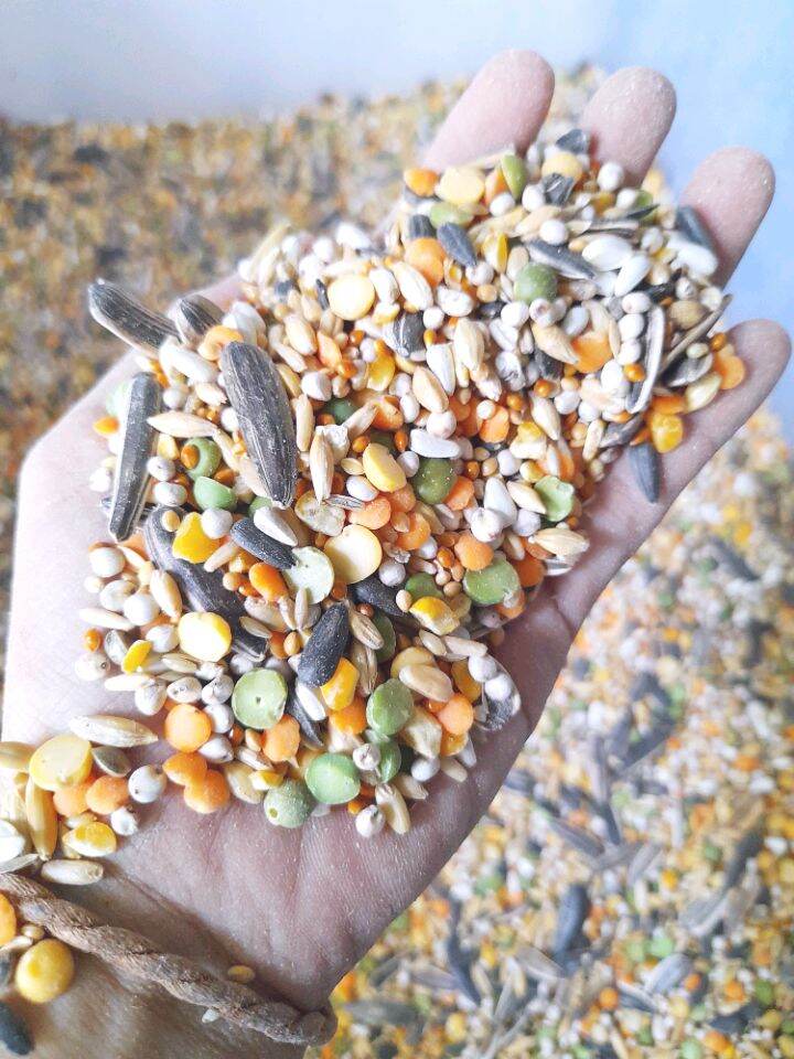 Thức ăn hamster gói 1kg siêu tiết kiệm