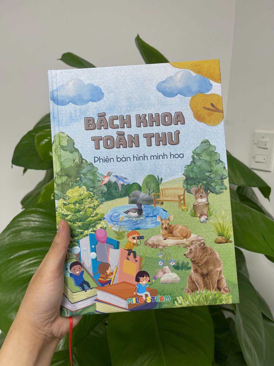 Bách khoa toàn thư (phiên bản hình minh họa)