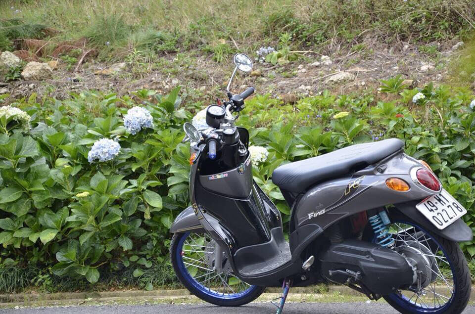 Tem xe mio classico - mẫu tem ps - tem 3 lớp không bay màu