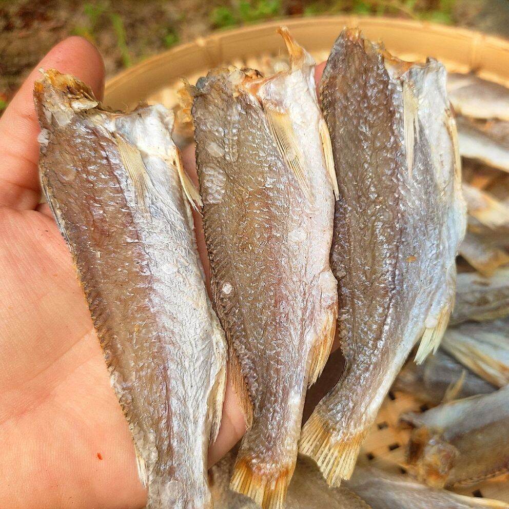 1kg Khô lù đù lạt 3 nắng con nhỏ vừa ăn