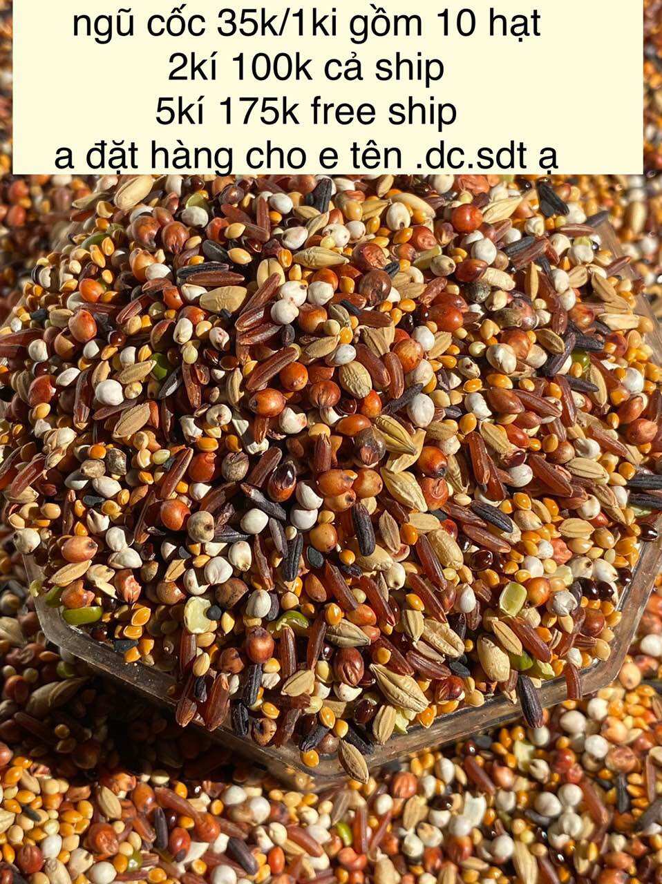 20 loại hạt k trộn bắp túi 1kg cho chim cu gáy